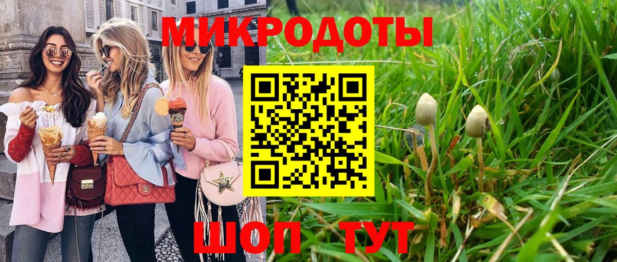Псилоцибиновые грибы GOLDEN TEACHER  Галлюциногенные грибы Psilocybine cubensis  Вход с VPN  Зеленогорск 