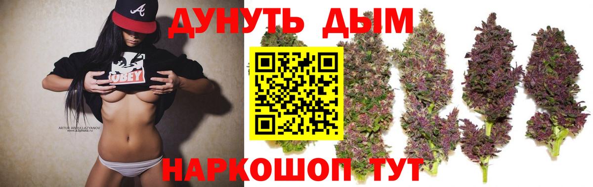 Бошки Шишки семена Зеленогорск